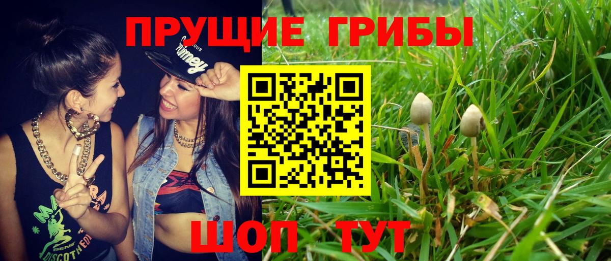 Галлюциногенные грибы MAGIC MUSHROOMS Ногинск